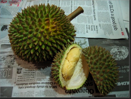 durian