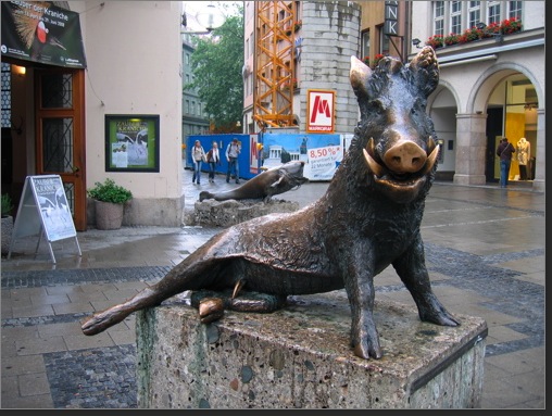 Wild Boar Munich