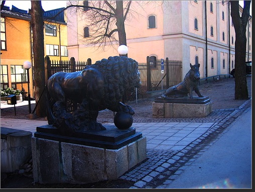 Wild Boar Stockholm